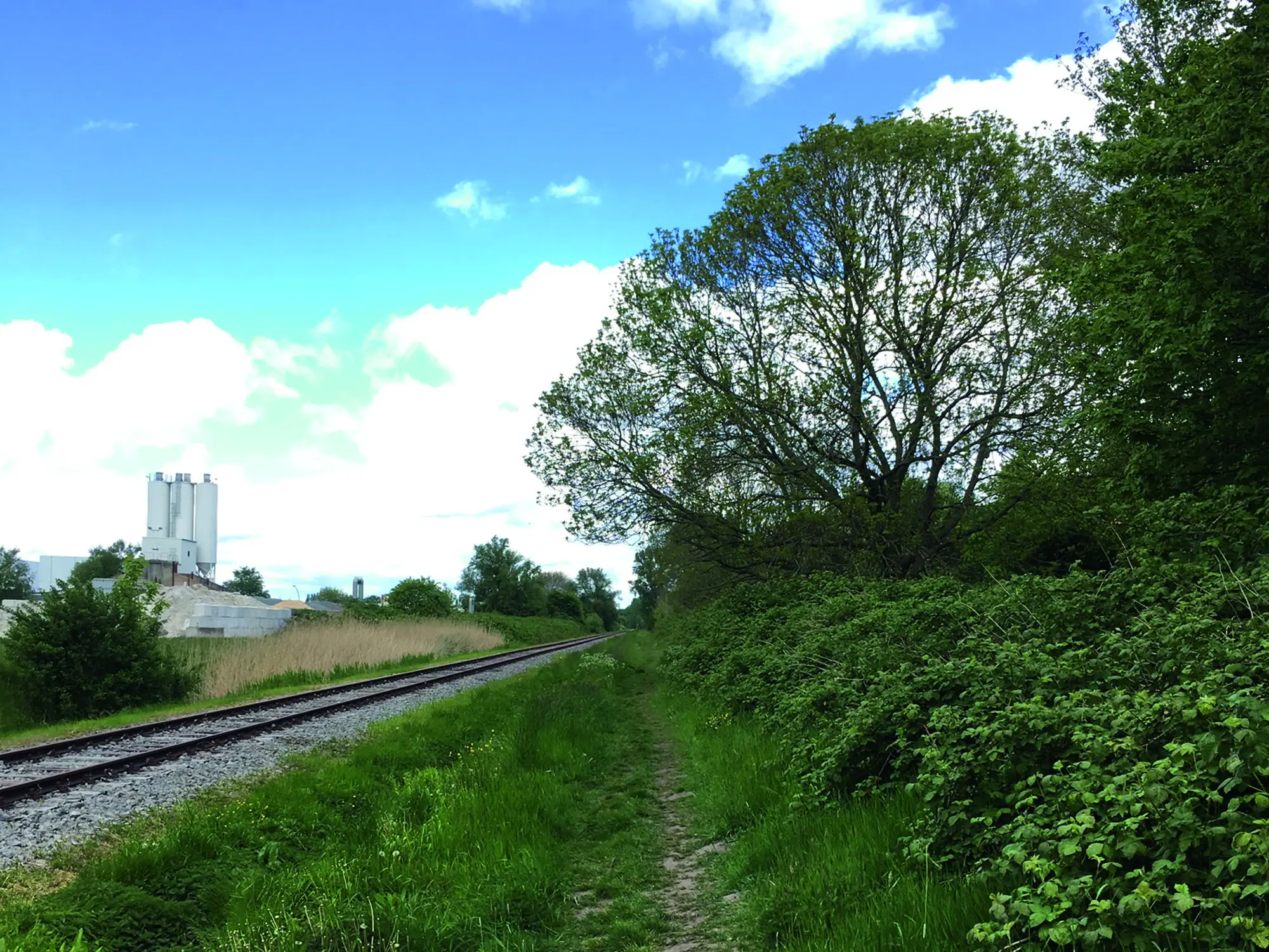 Gleis auf Kiesbett entlang eines dichten Grünstreifens
