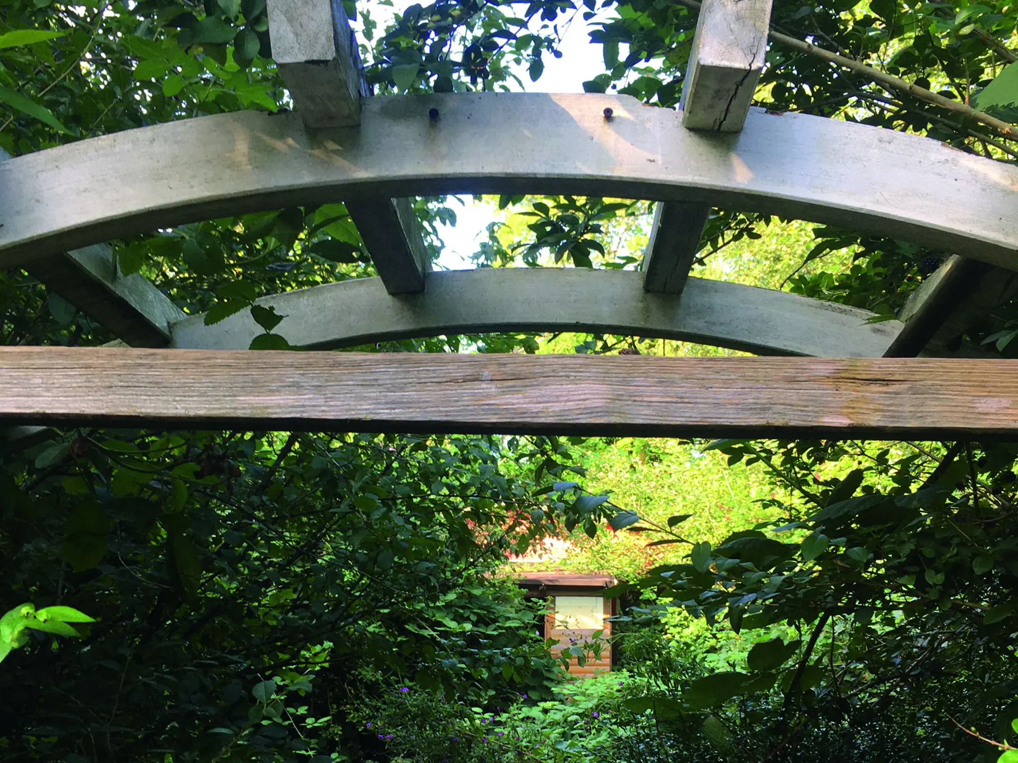 Eine Holzkonstruktion inmitten von Grün