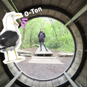Link zu O-Ton: Dr. Hannah Kordes. Foto von Hannah Kordes auf einem Waldpfad, Text "O-Ton", Grafik einer kreischenden Möwe