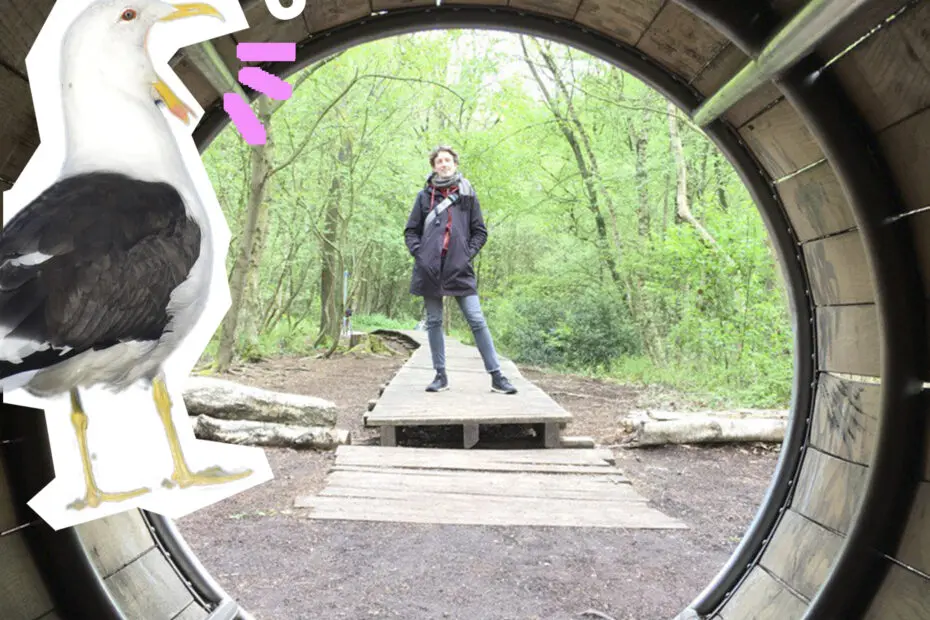 Link zu O-Ton: Dr. Hannah Kordes. Foto von Hannah Kordes auf einem Waldpfad, Text "O-Ton", Grafik einer kreischenden Möwe