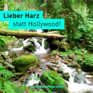 Text „Lieber Harz statt Hollywood“ in einem Foto von einem Wasserlauf im Wald mit moosbewachsenen Steinen (#unglaublichbremerhaven)