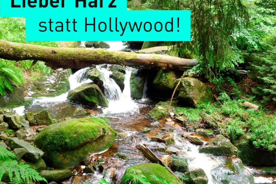 Text „Lieber Harz statt Hollywood“ in einem Foto von einem Wasserlauf im Wald mit moosbewachsenen Steinen (#unglaublichbremerhaven)