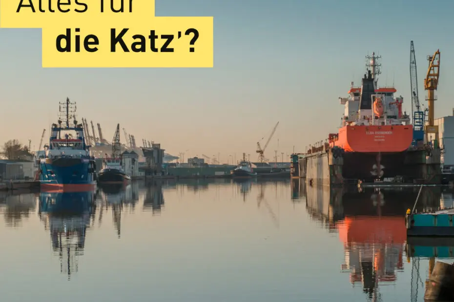 Foto vom Neuen Hafen mit mehreren Schiffen, die an der Kaje liegen, und einem, das in einem Trockendock liegt. Schriftzug über dem Foto: "Alles für die Katz?" Text am unteren Rand: "#unglaublichbremerhaven"