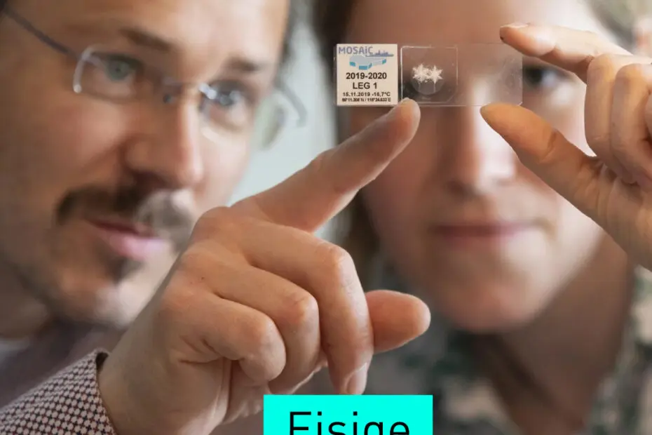 Zwei Menschen betrachten zwei konservierte Schneeflocken