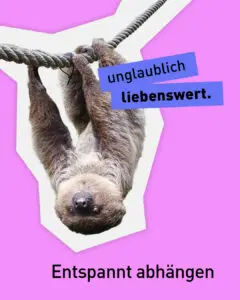 Das Faultier Horst im Zoo am Meer