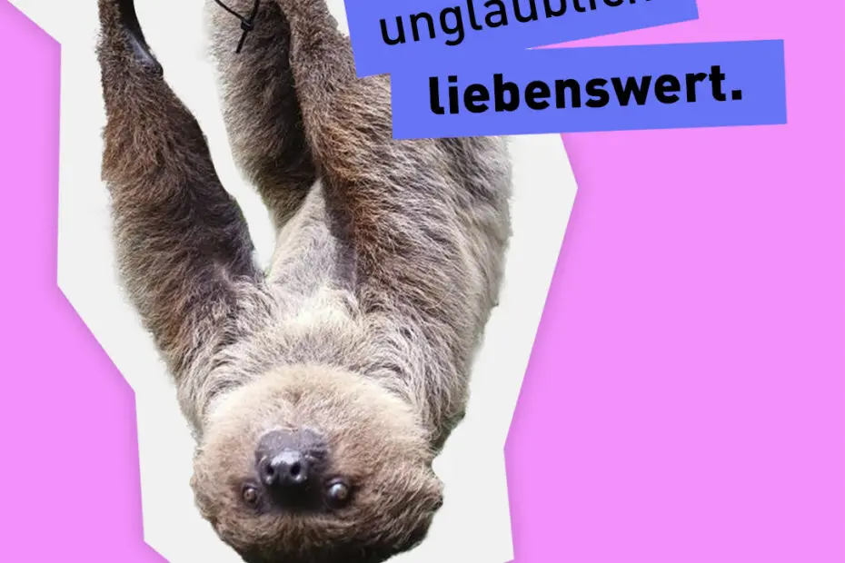 Das Faultier Horst im Zoo am Meer