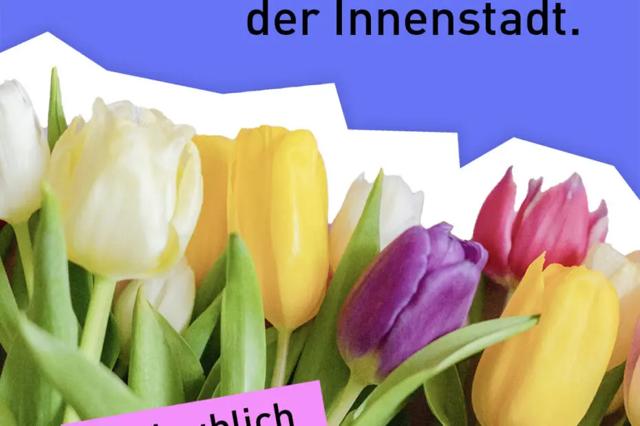 Bunte Tulpen