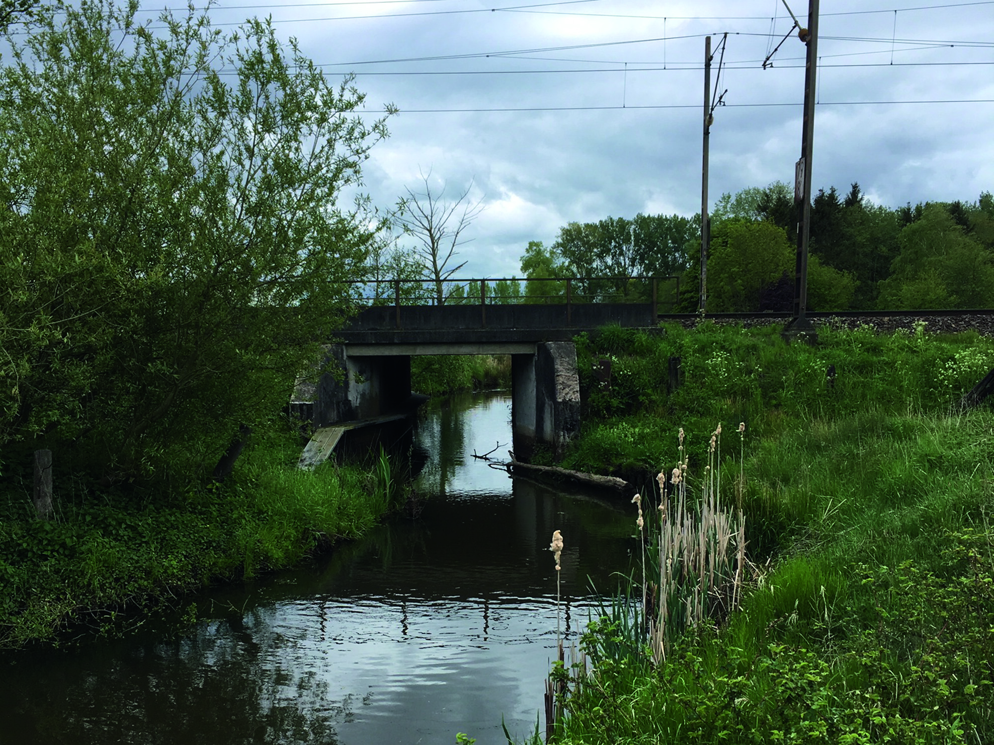 Eine Eisenbahnbrücke über einen Flusslauf