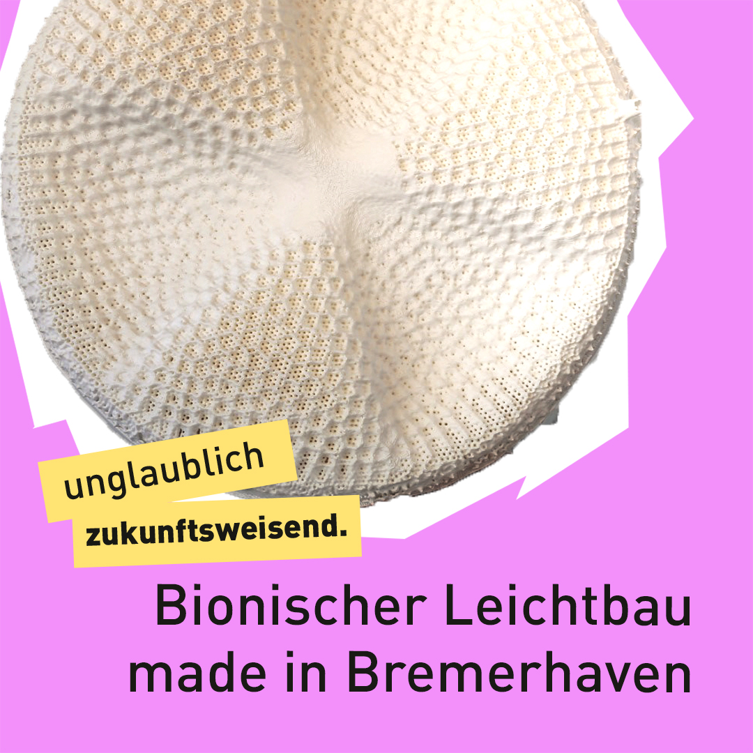 Text "unglaublich zukunftsweisend - Bionischer Leichtbau made in Bremerhaven"