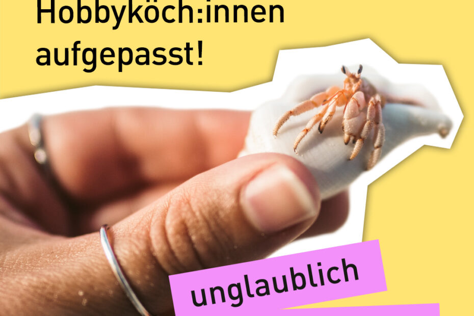 Text "unglaublich geschmackvoll - Bremerhavener Hobbyköch:innen aufgepasst" vor einer Hand, die eine Muschel mit einer Krabbe hält
