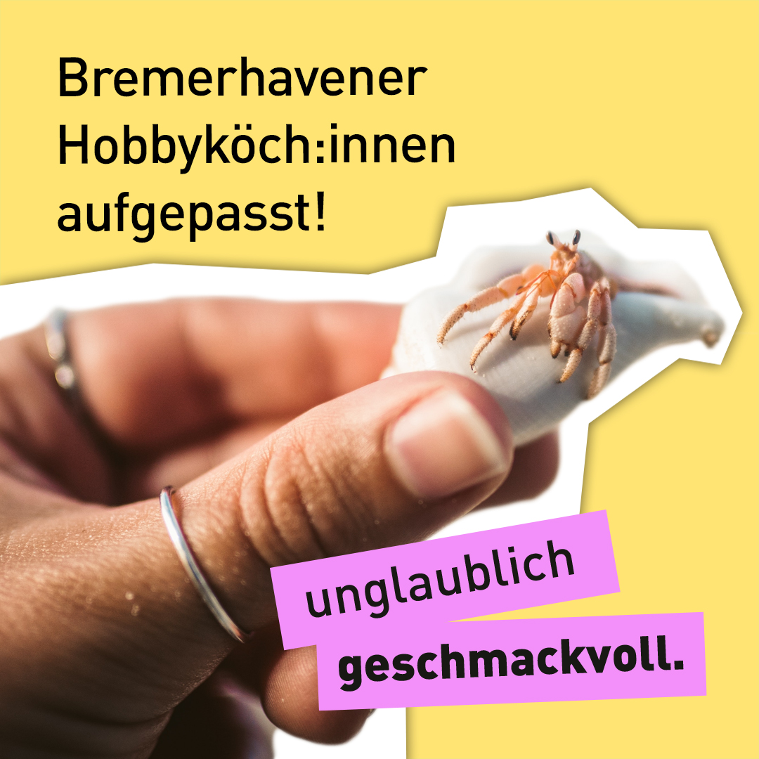 Text "unglaublich geschmackvoll - Bremerhavener Hobbyköch:innen aufgepasst" vor einer Hand, die eine Muschel mit einer Krabbe hält