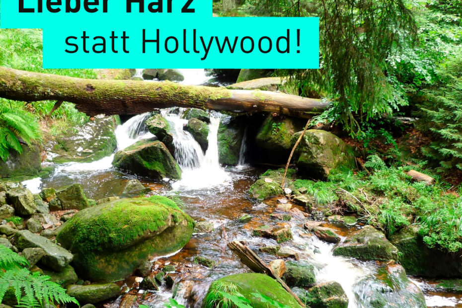 Text „Lieber Harz statt Hollywood“ in einem Foto von einem Wasserlauf im Wald mit moosbewachsenen Steinen (#unglaublichbremerhaven)
